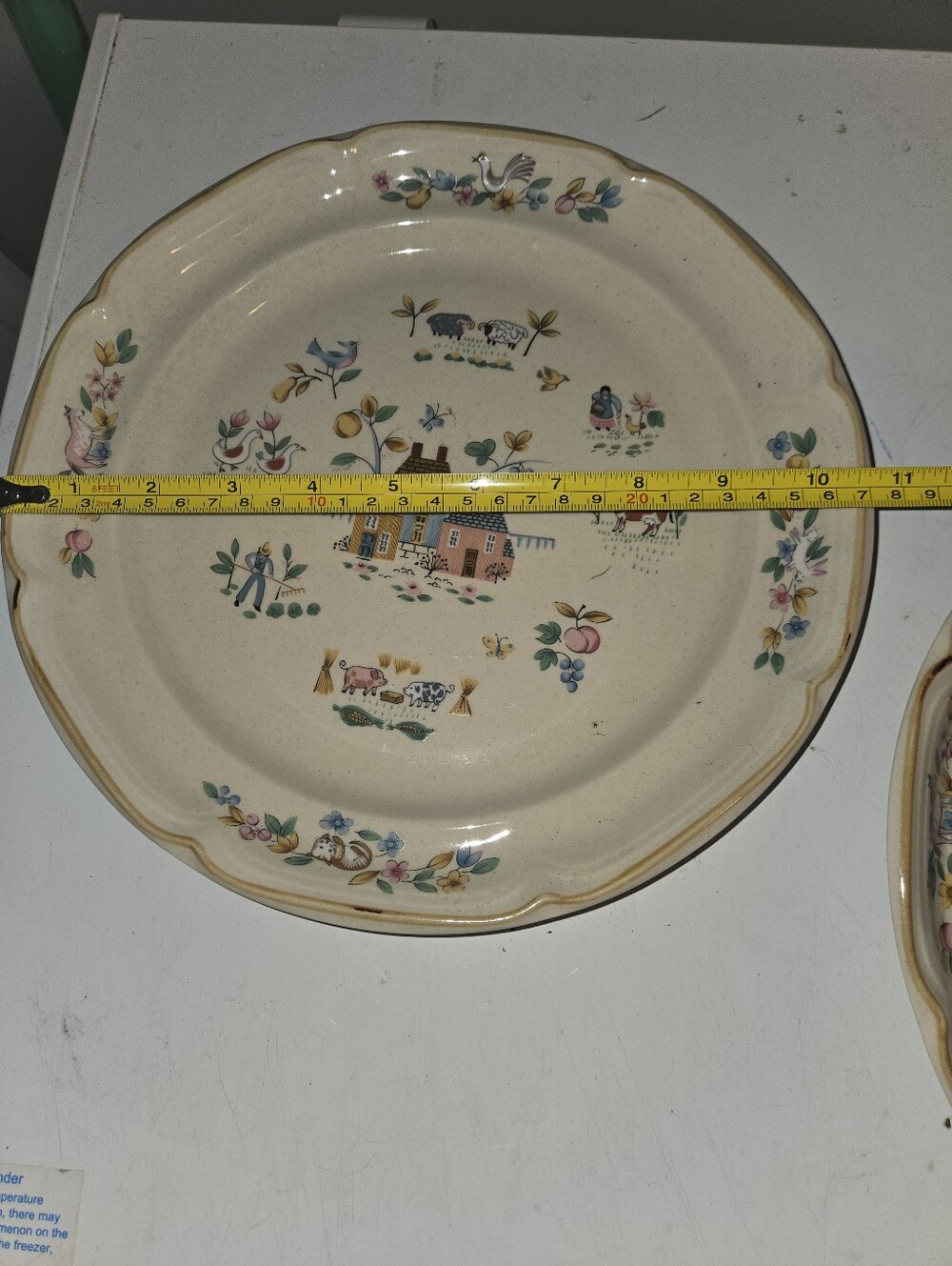 Heartland International Dinner Plates Set Of 2 - Picture 5 of 5
